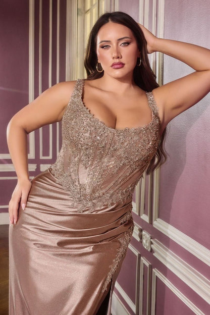 Delicate Floral Lace Embellished Plus Size Special Occasion Gown w/ Structural Corset Bodice CDCC475C